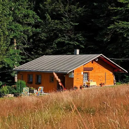 Haus An Der Bergwiese Waldkirchen Exterior photo